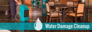 nj water removal services